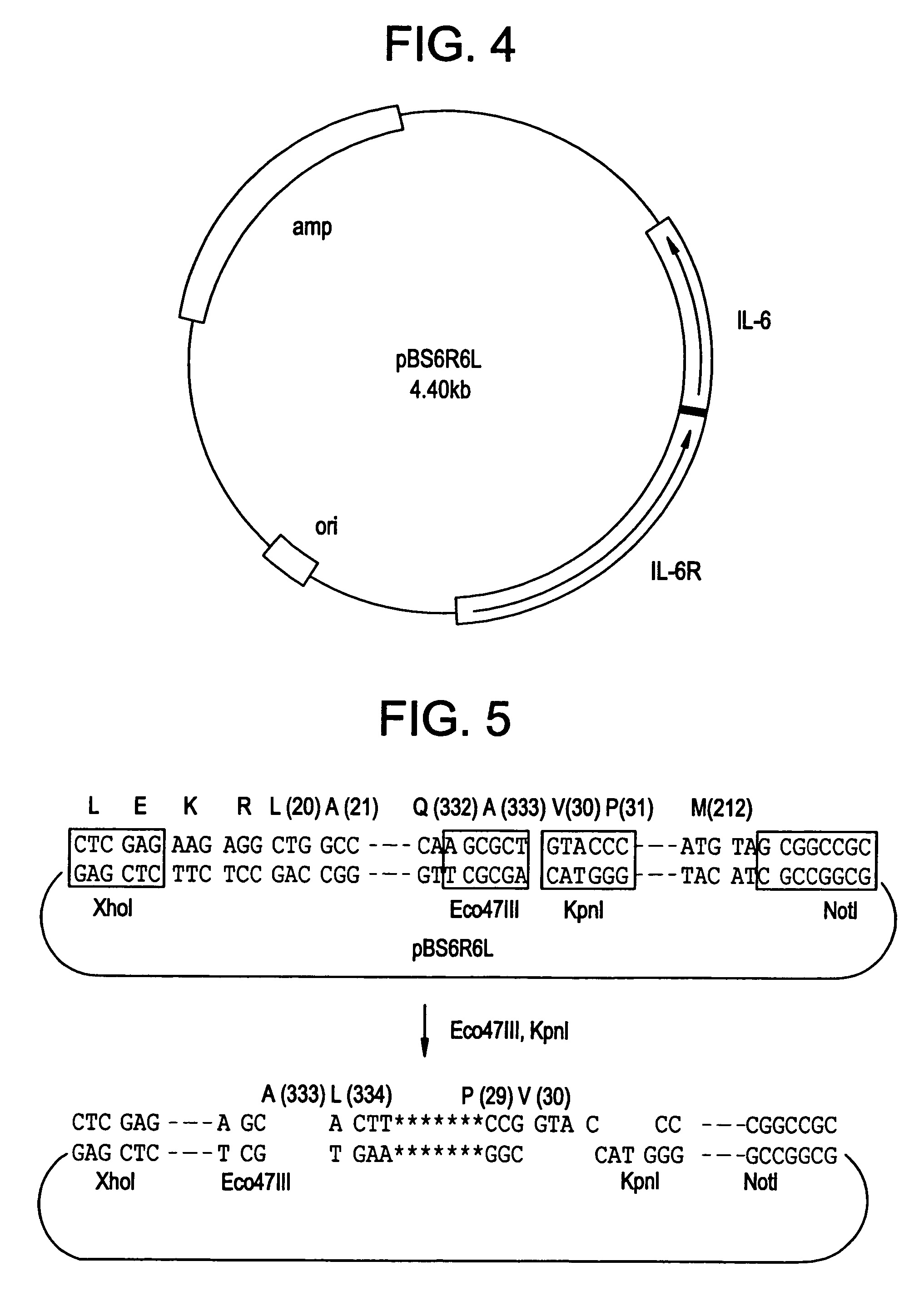 IL-6 receptor.IL-6 direct fusion protein