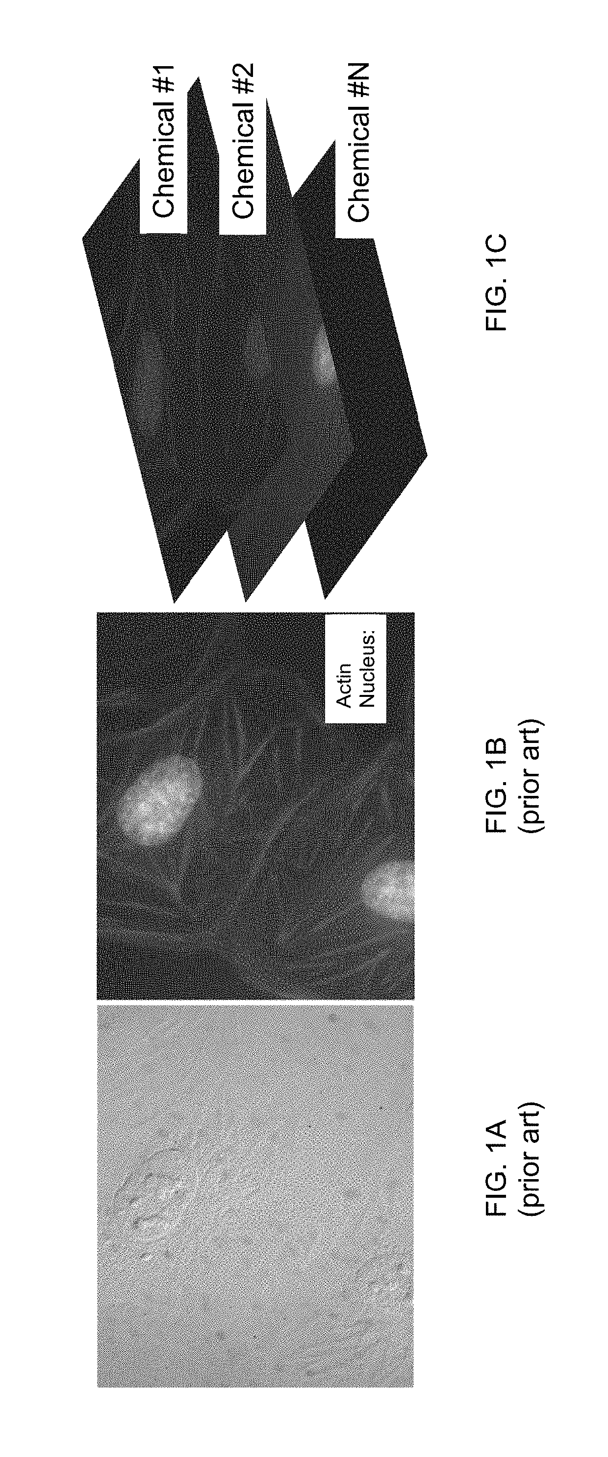 Rapid multiplexed infrared 3D nano-tomography