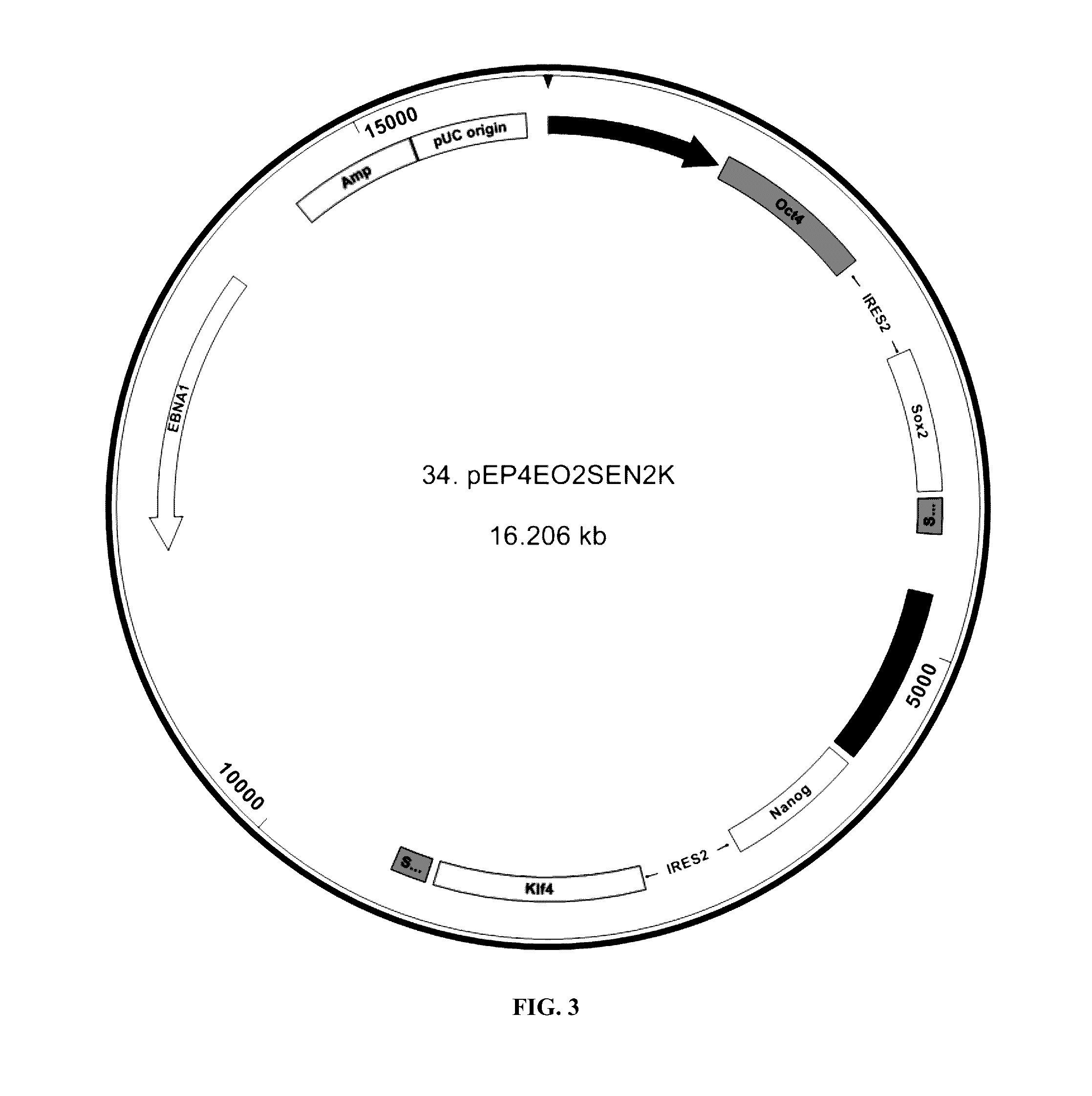 Methods for cell reprogramming and genome engineering