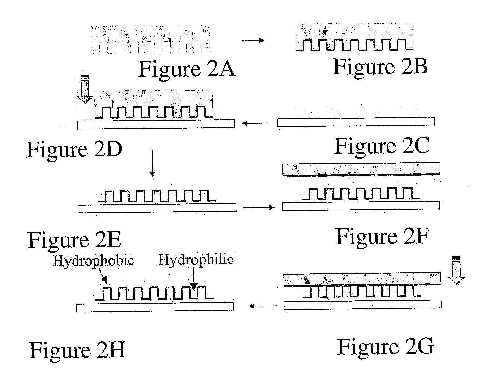 Patterned Cell Network Substrate Interface and Methods and Uses Thereof