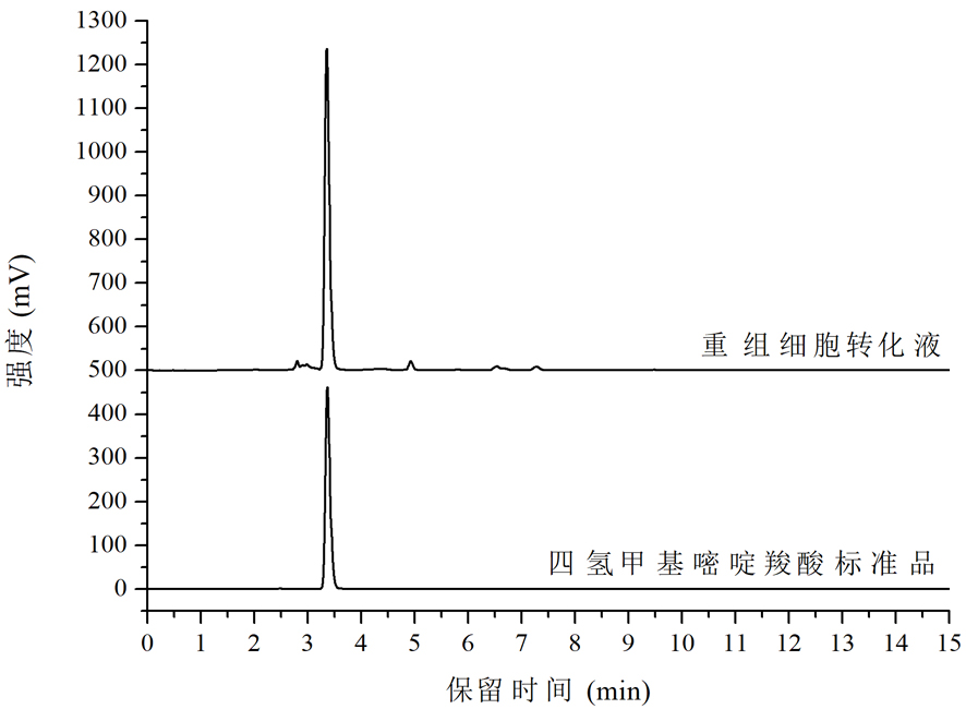 Tetrahydromethylpyrimidinecarboxylic acid biosynthetic gene and its application