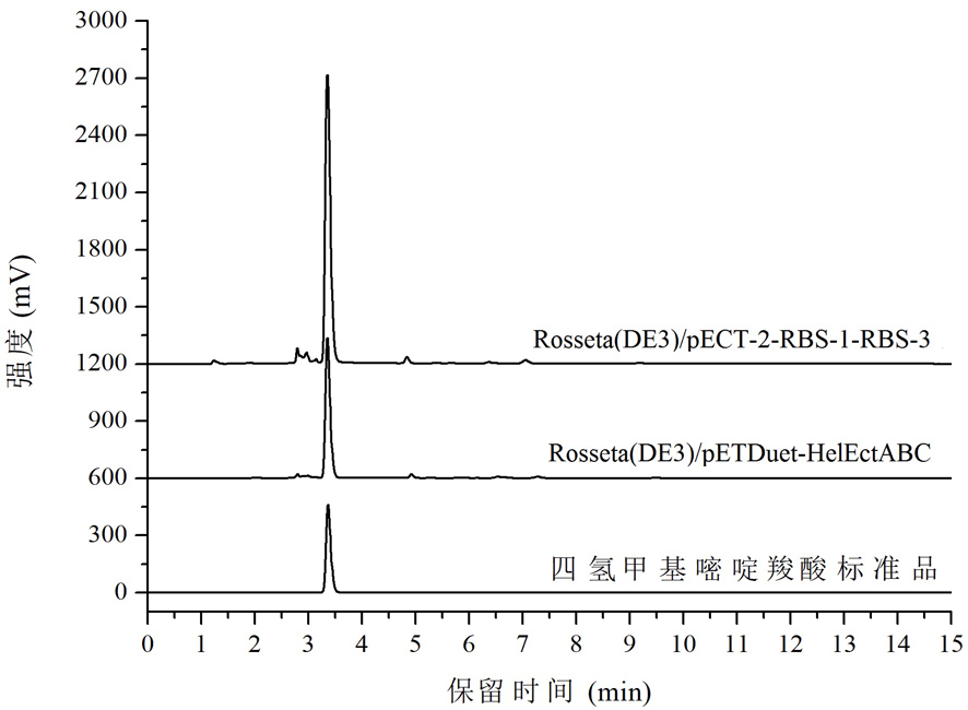 Tetrahydromethylpyrimidinecarboxylic acid biosynthetic gene and its application