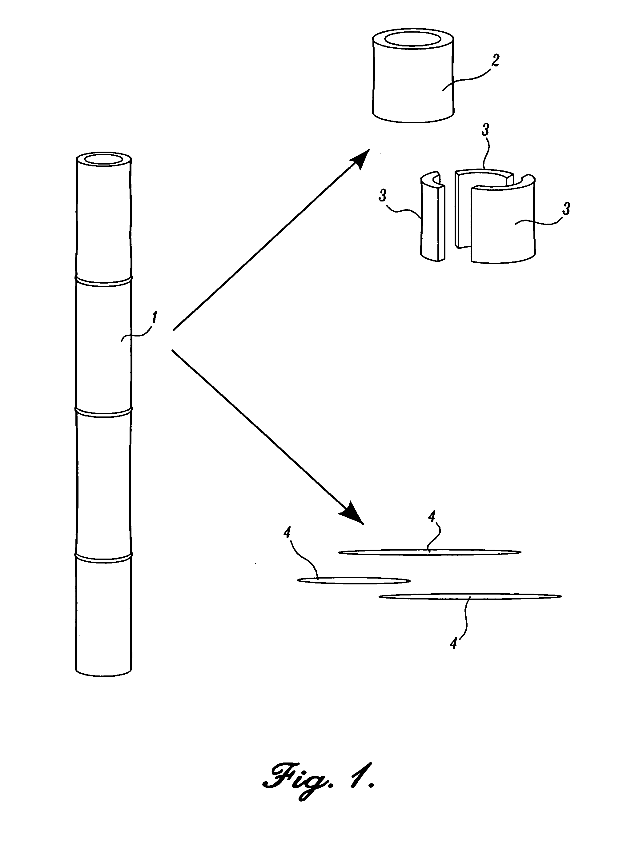 Arundo donax pulp and related methods