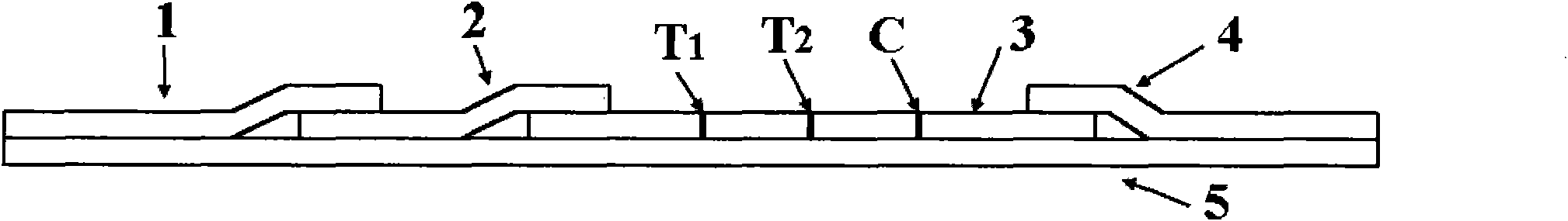 Rubella virus IgG and IgM antibody joint inspection kit and preparation method thereof