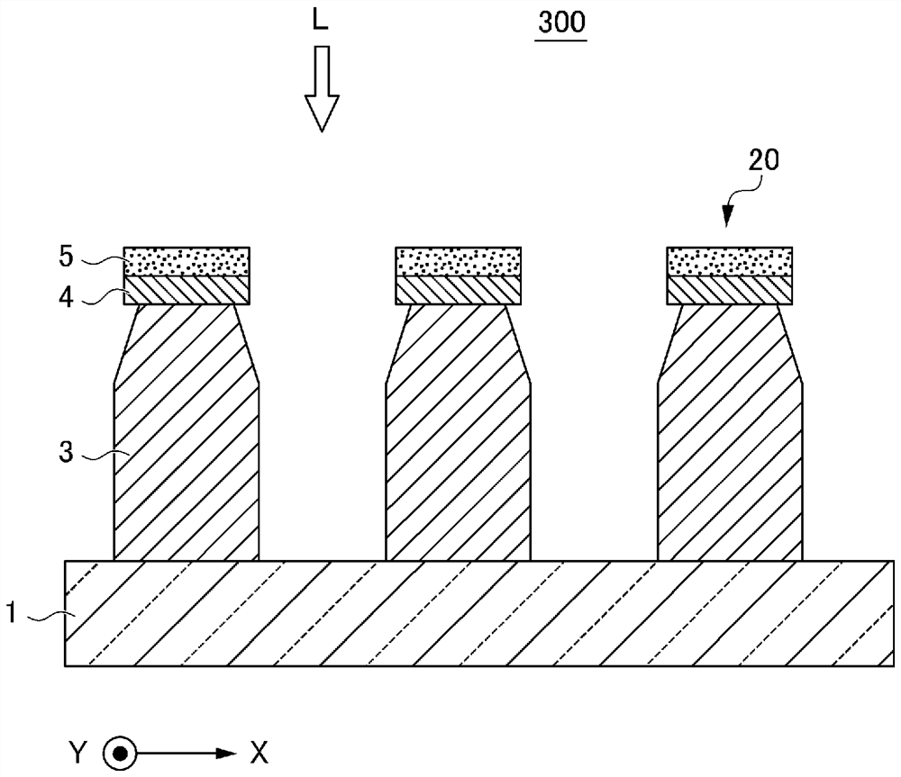 Polarizing plate, manufacturing method thereof, and optical device