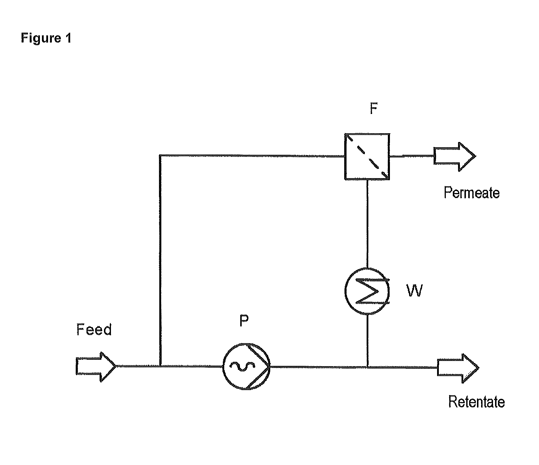 Process for the preparation of homopolysaccharides