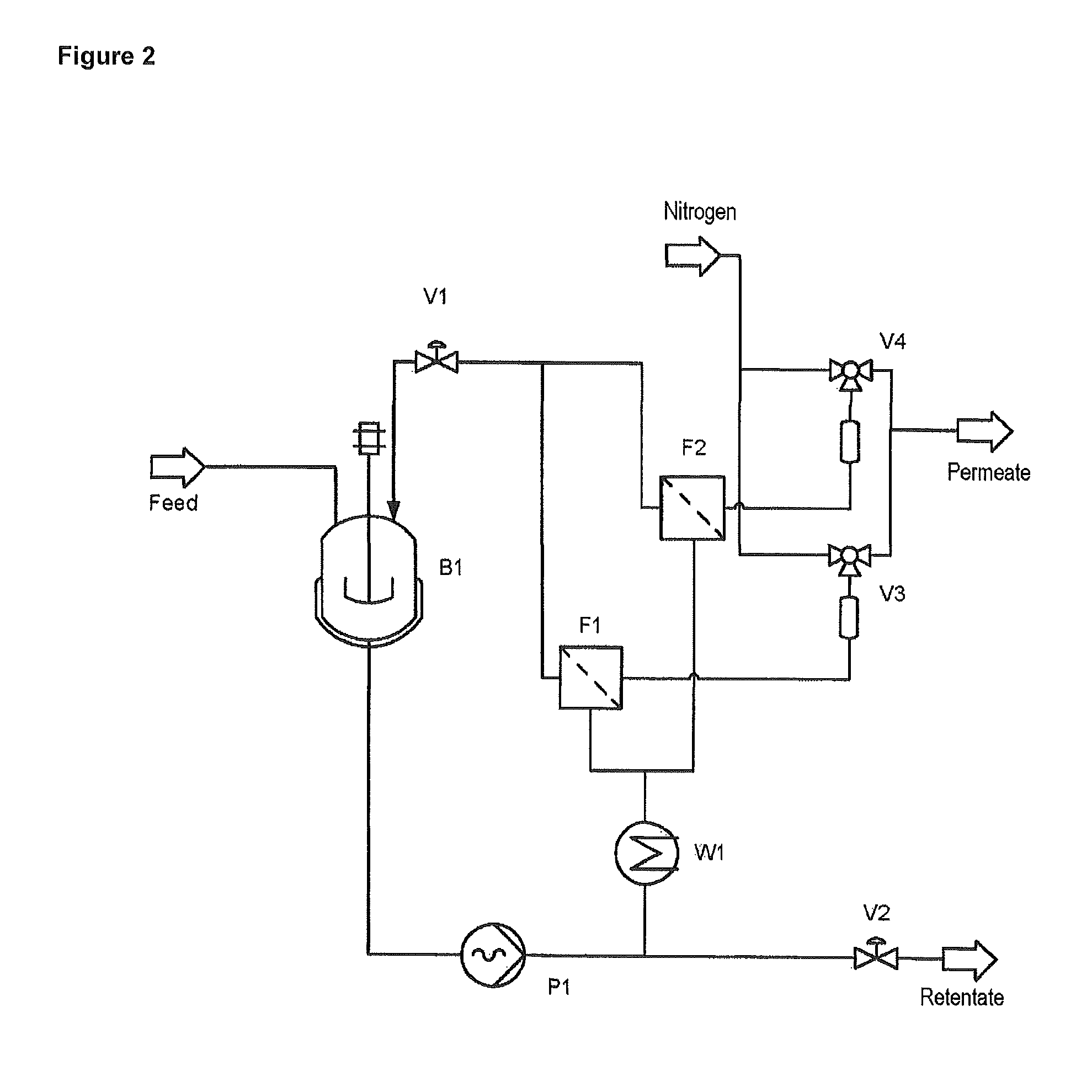 Process for the preparation of homopolysaccharides