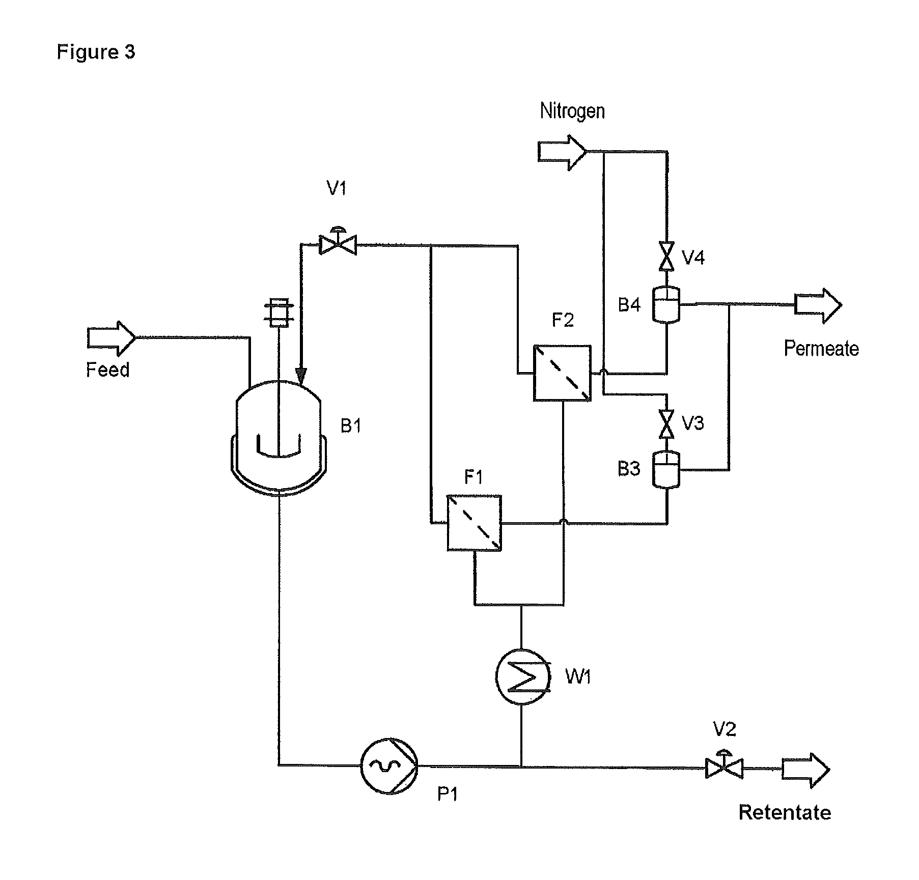 Process for the preparation of homopolysaccharides