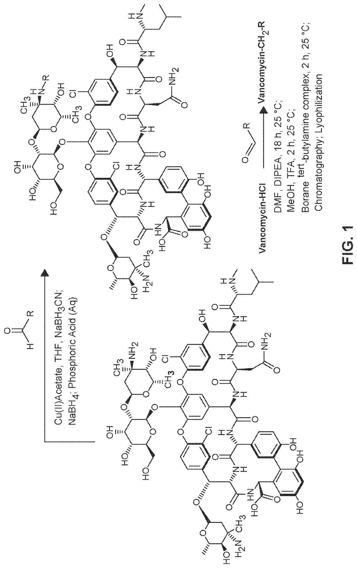 Glycopeptide derivative compounds and uses thereof