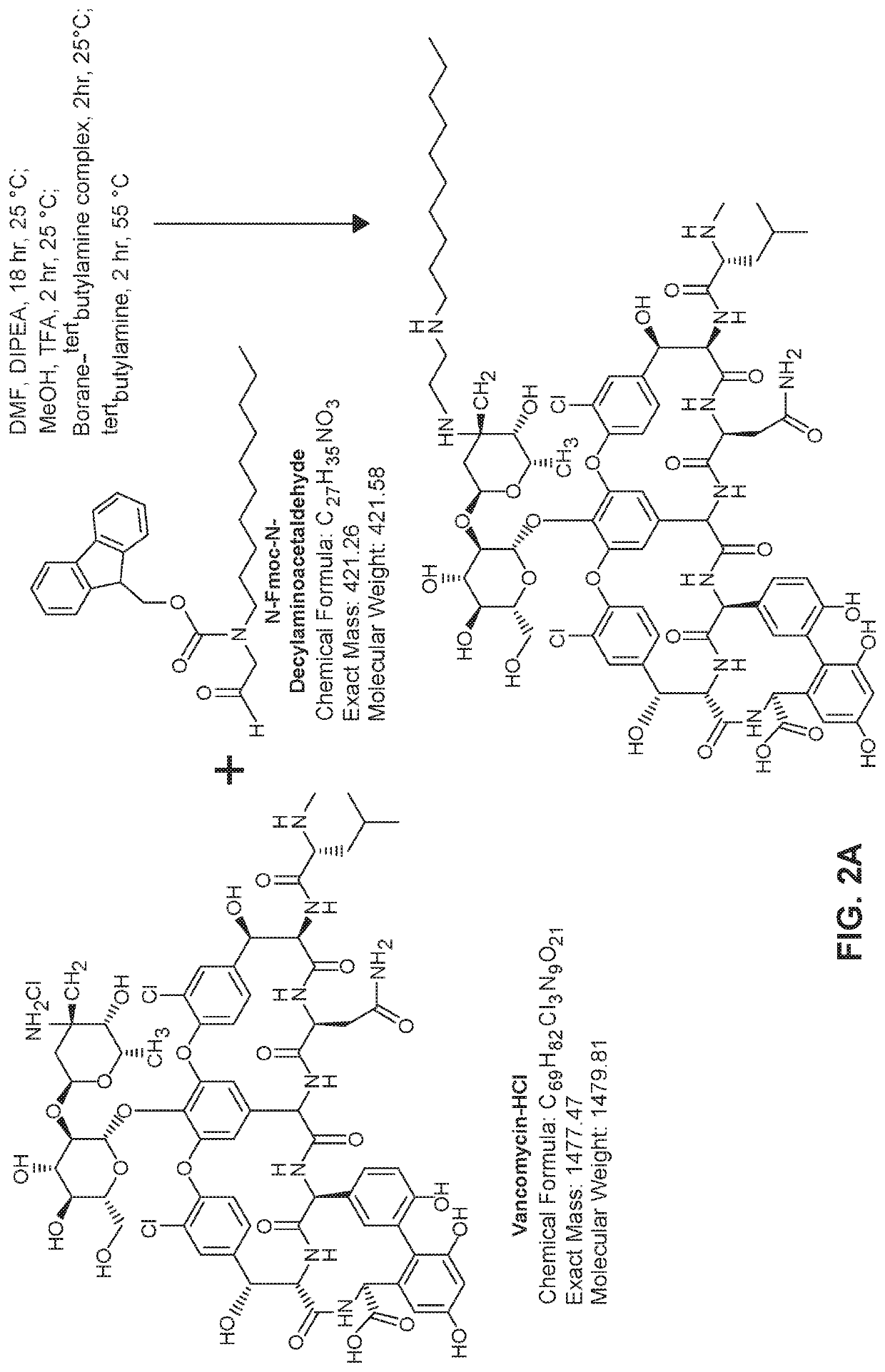 Glycopeptide derivative compounds and uses thereof