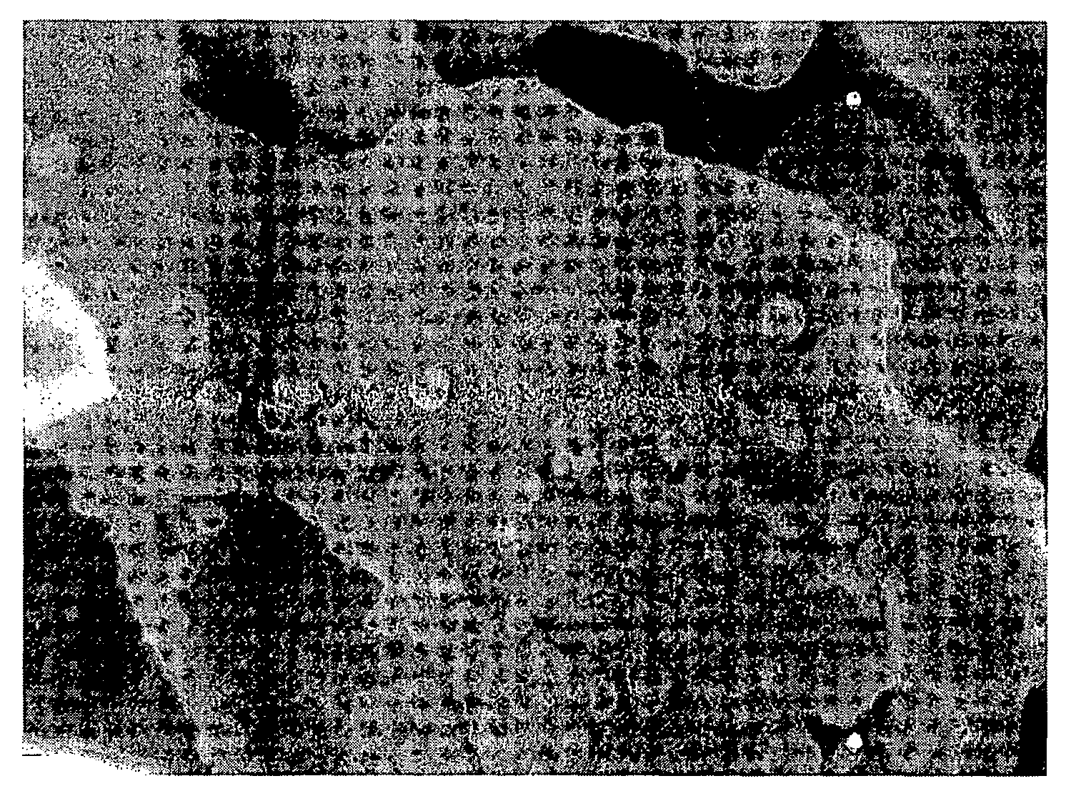 Powder containing Fe-Ni nano-particles and its manufacturing method