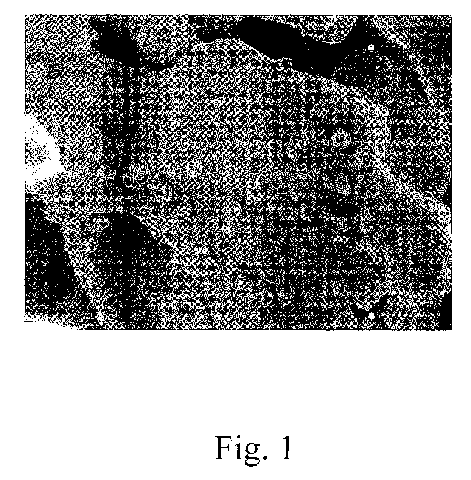 Powder containing Fe-Ni nano-particles and its manufacturing method