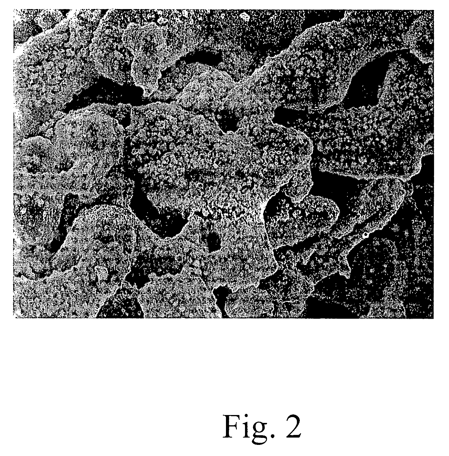 Powder containing Fe-Ni nano-particles and its manufacturing method