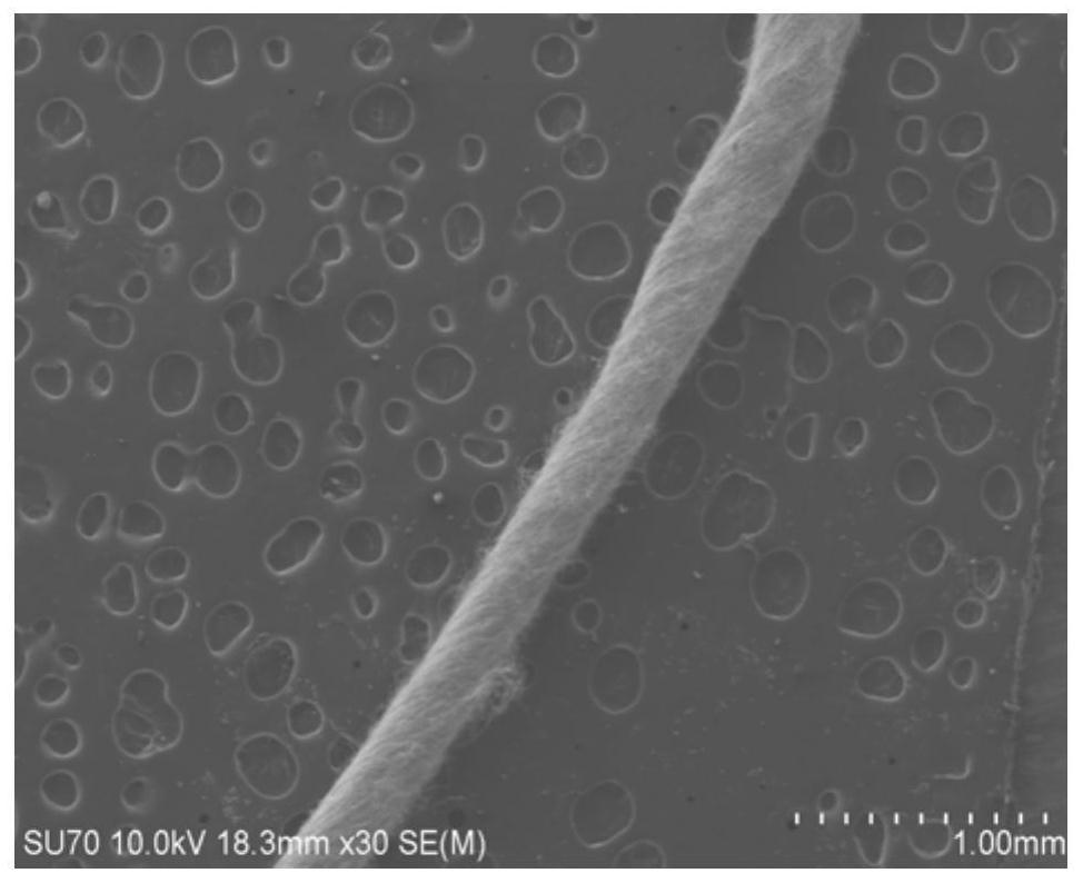 Preparation method of continuous carbon nanofiber bundle and preparation method of continuous carbon nanofiber cloth