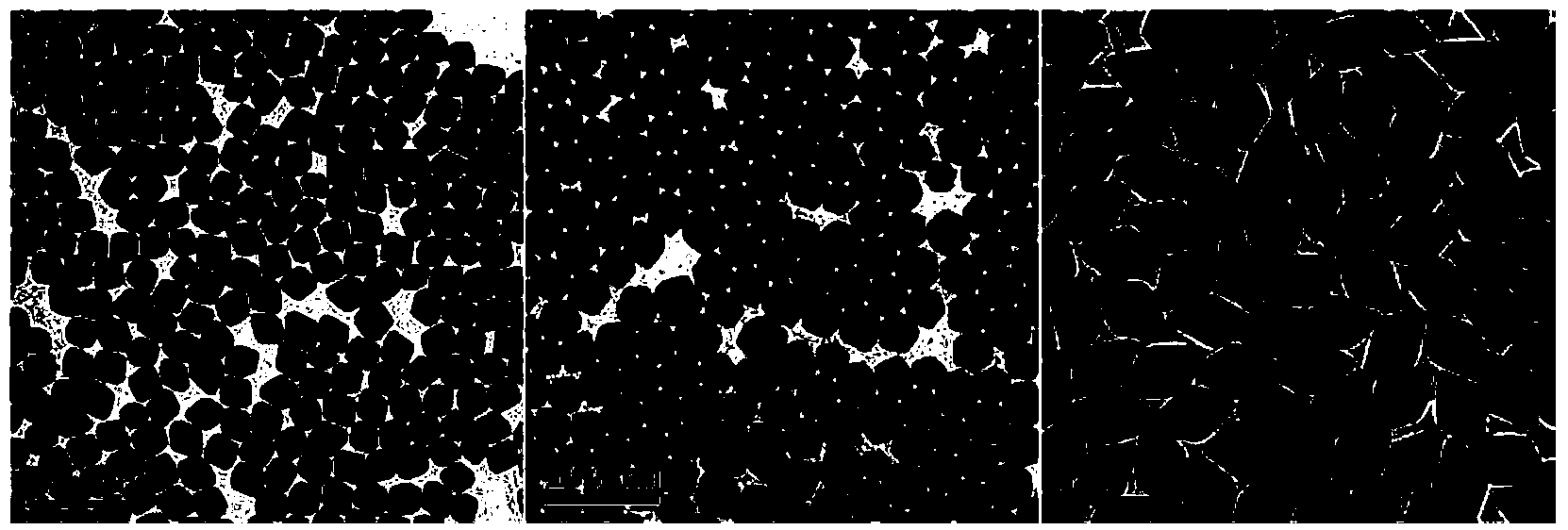 Rare earth-doped lithium lutetium fluoride nano-material, and preparation method and application thereof