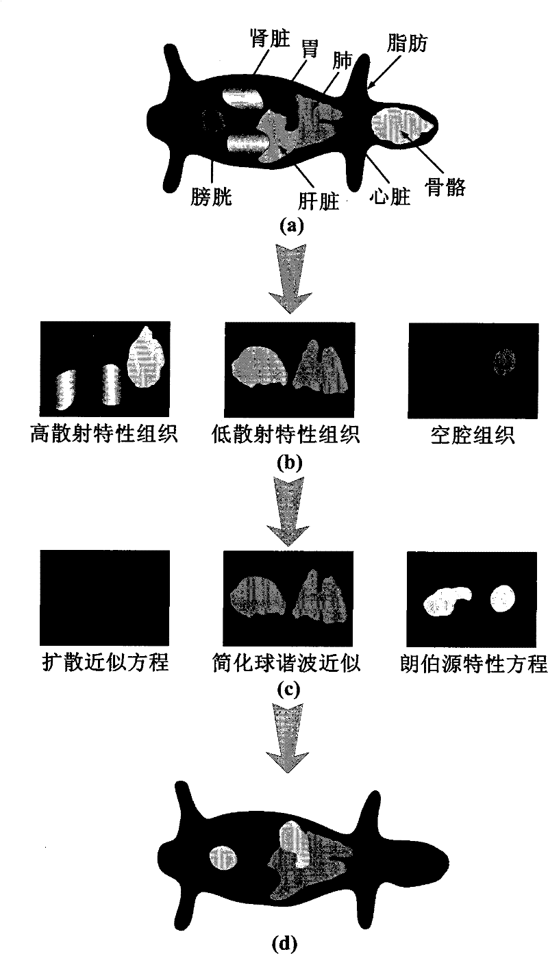 Optical three-dimensional imaging method based on biological tissue specificity