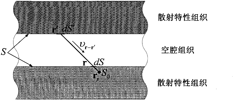 Optical three-dimensional imaging method based on biological tissue specificity