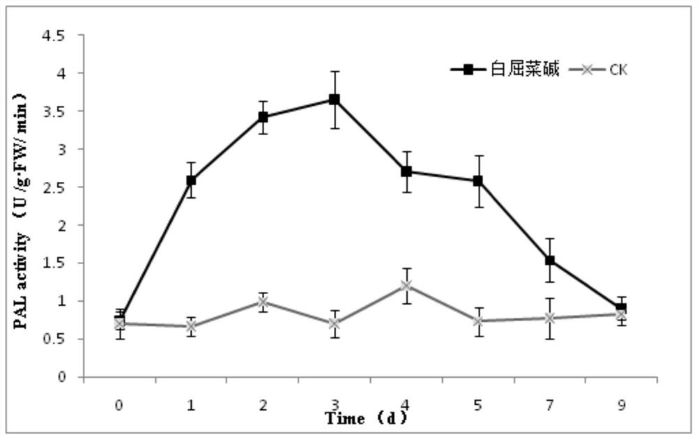 Application of chelidonine for preparing plant inducer and plant inducer