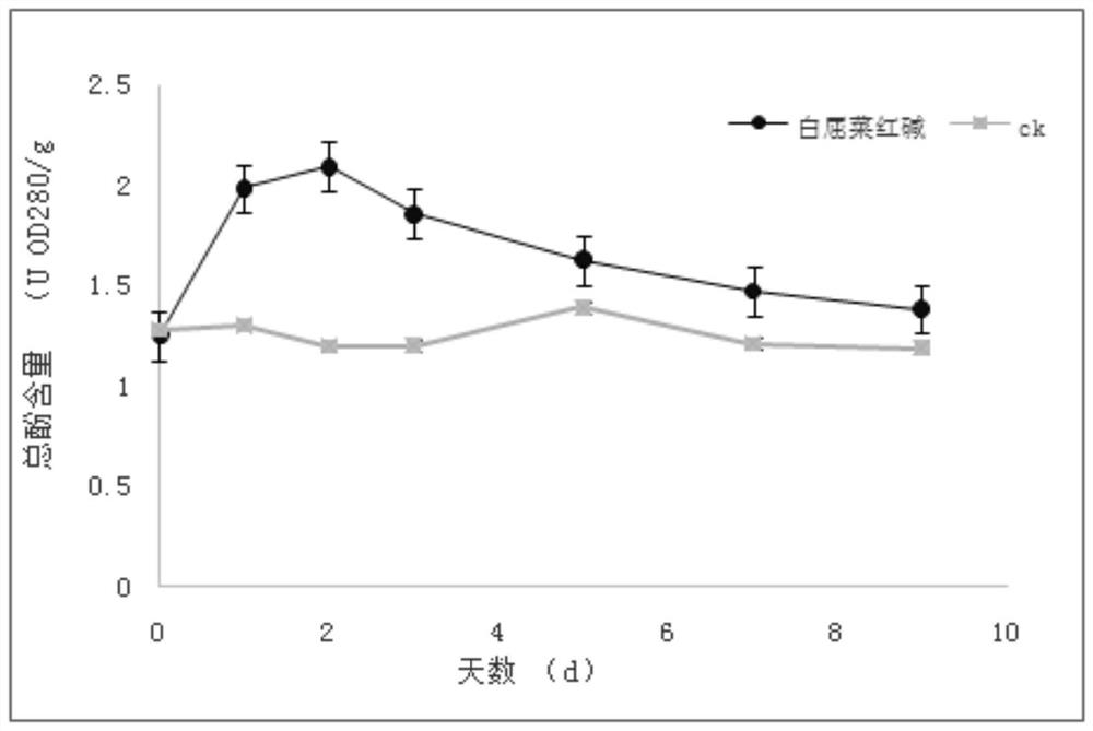 Application of chelidonine for preparing plant inducer and plant inducer