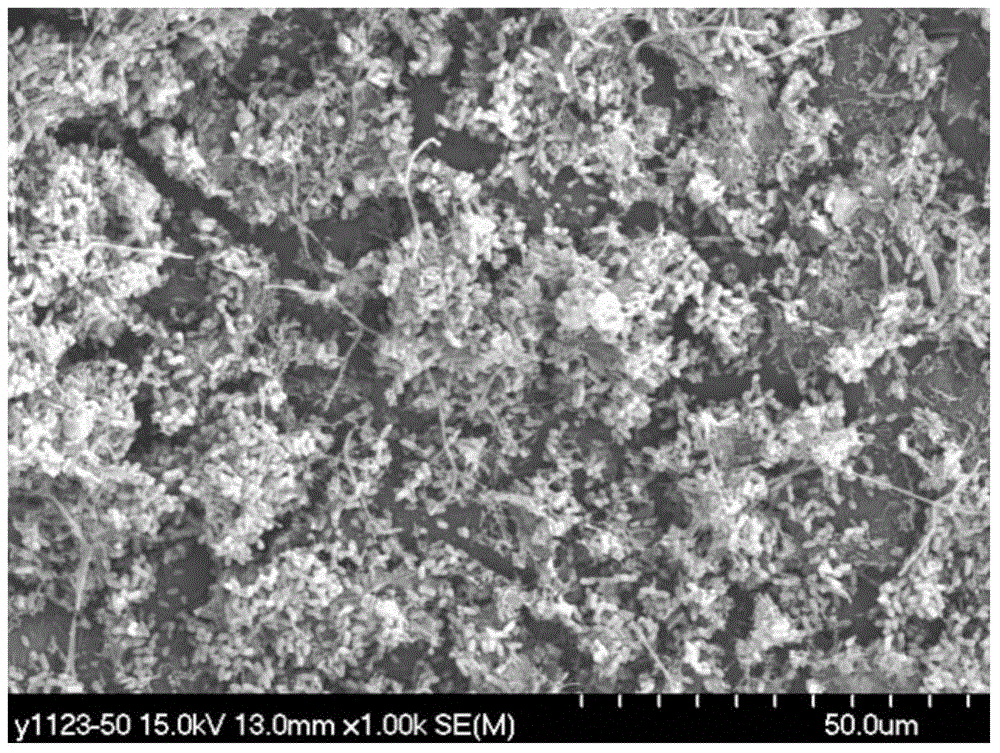 Method for rapidly and stably starting wastewater nitrite type mixotrophic desulfurization and denitrification system