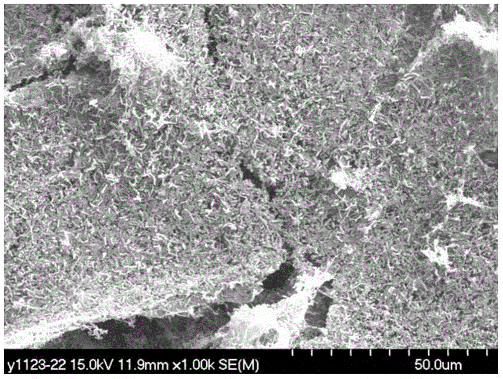 Method for rapidly and stably starting wastewater nitrite type mixotrophic desulfurization and denitrification system