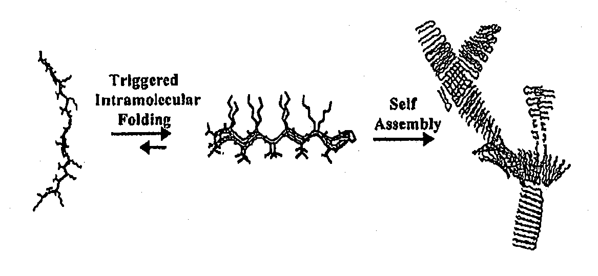 Novel hydrogels and uses thereof