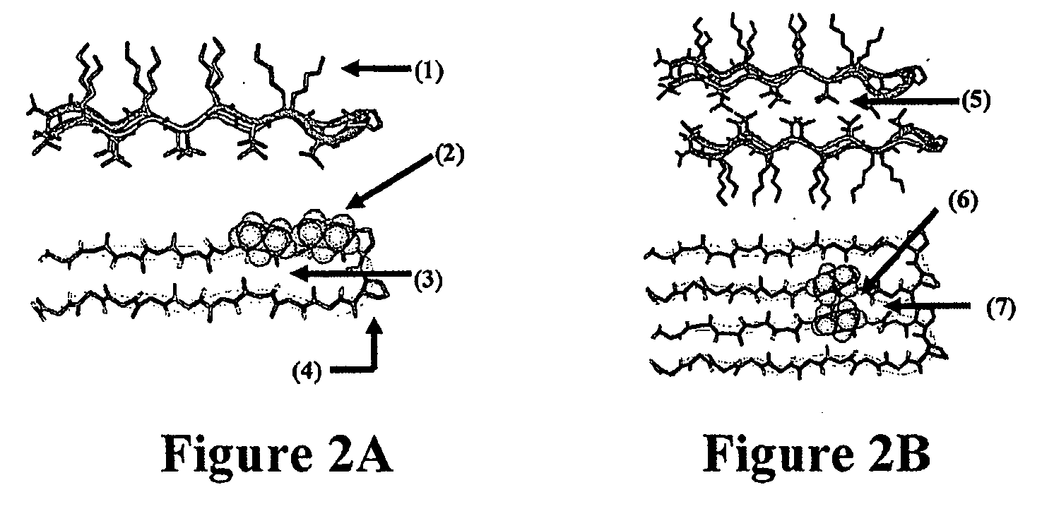 Novel hydrogels and uses thereof