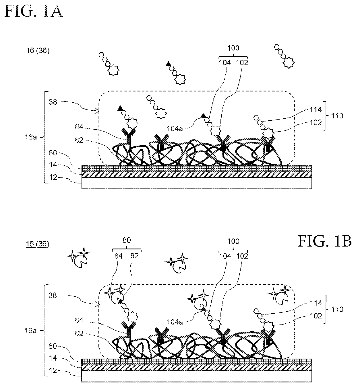 Method for estimating pathological tissue diagnosis result (Gleason score) of prostate cancer