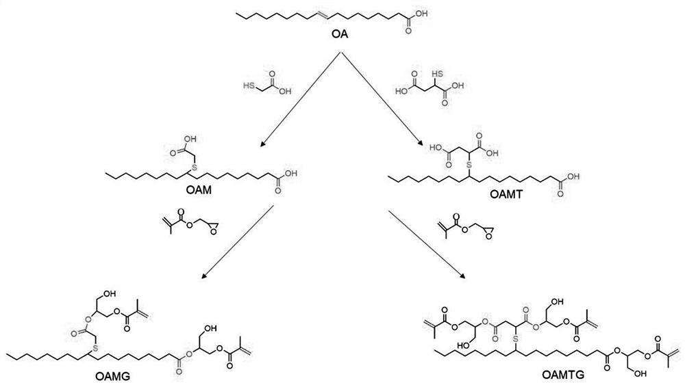 Multifunctional vegetable oil-based acrylate as well as preparation method and application thereof