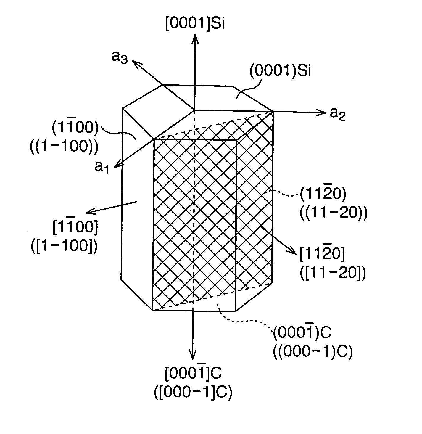 Seed crystal of silicon carbide single crystal and method for producing ingot using same