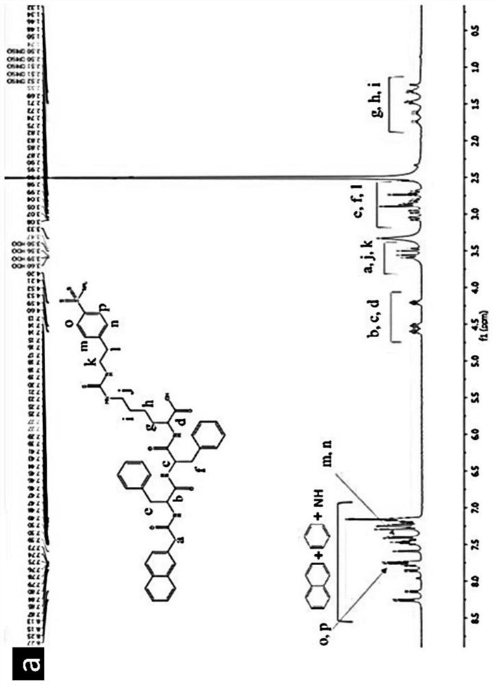 A short peptide small molecule self-assembled nanomaterial targeting hypoxic tumors and its preparation method and application