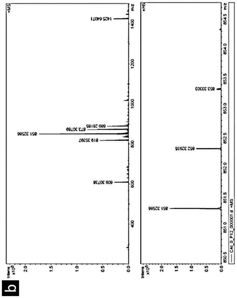 A short peptide small molecule self-assembled nanomaterial targeting hypoxic tumors and its preparation method and application