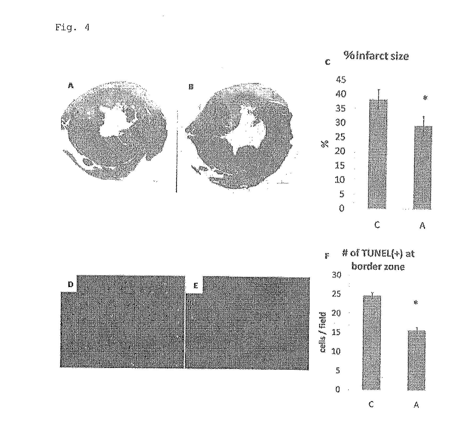 Adipocyte sheet, three-dimensional structure thereof, and method for producing the same