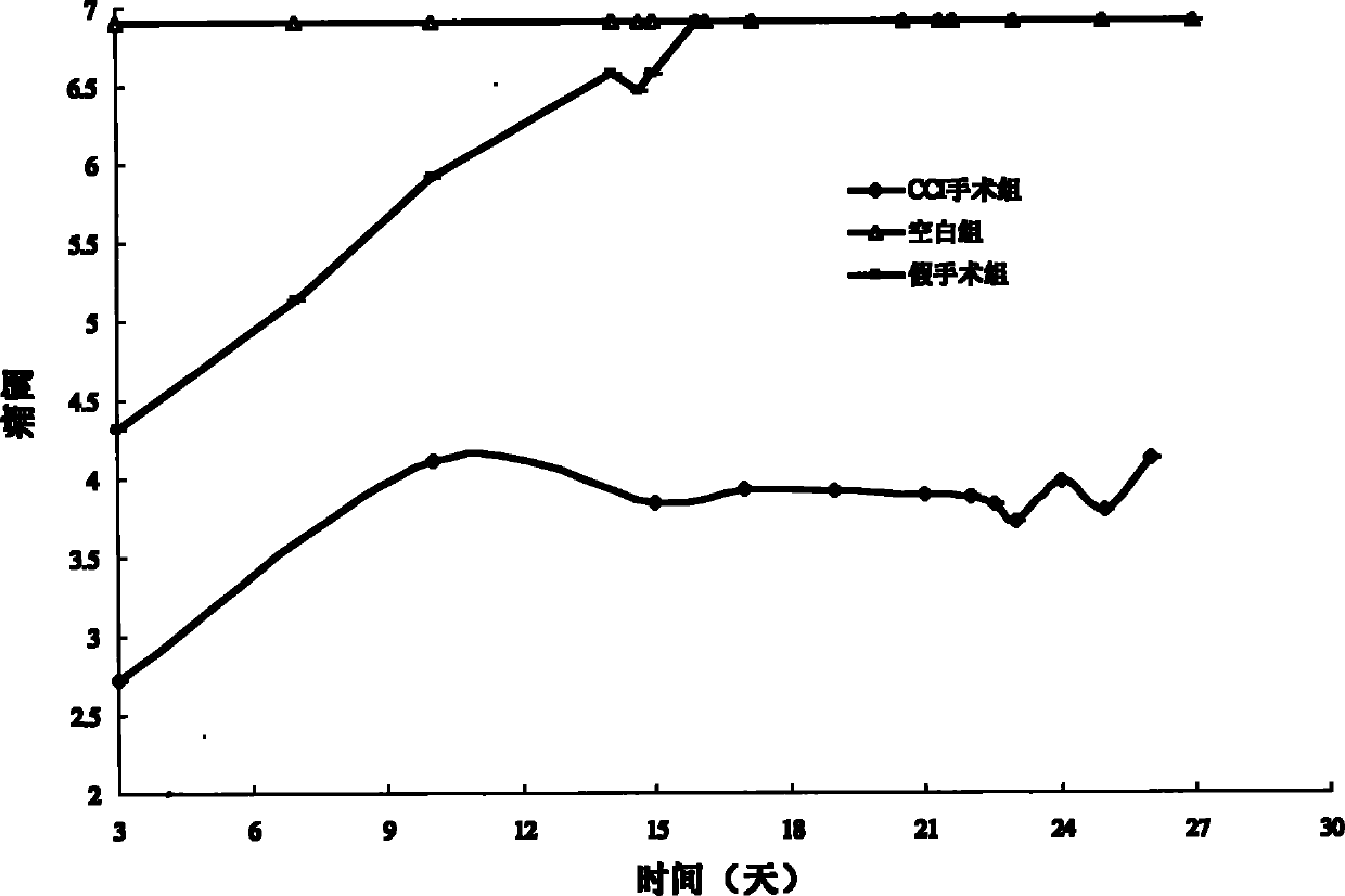 Application of 3-carbethoxy phenyl-beta-D-glucoside in treating chronic neuropathic pains