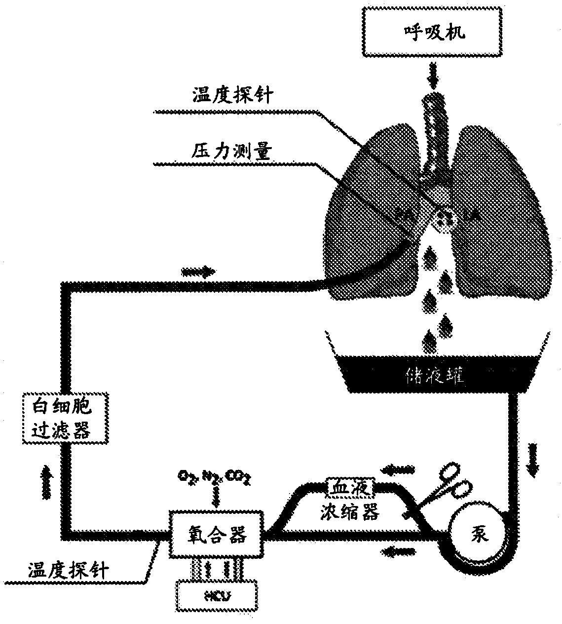 Methods to improve organ viability