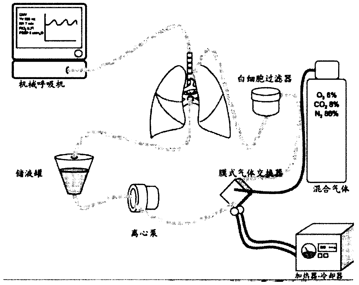 Methods to improve organ viability