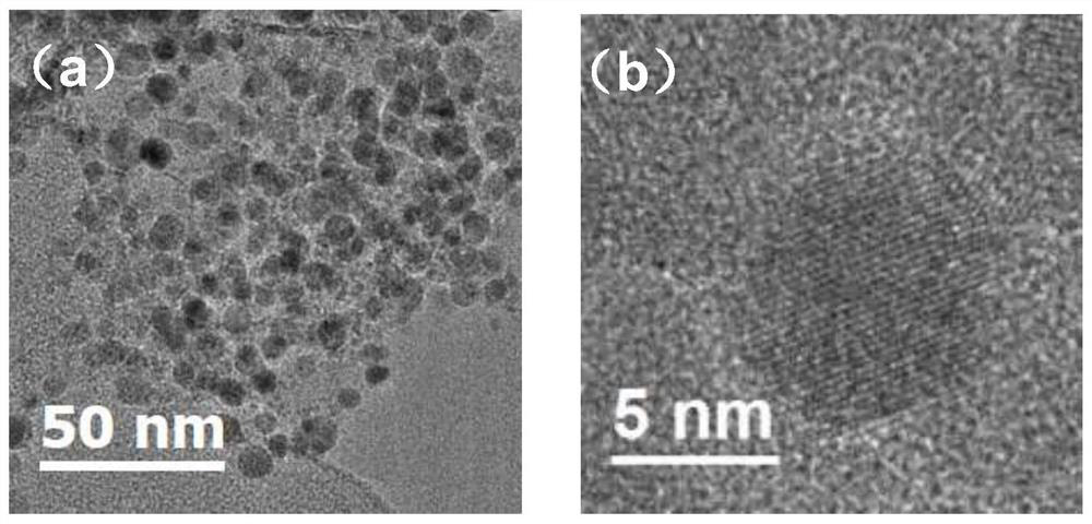 A device and method for large-scale continuous preparation of metal nanoparticles