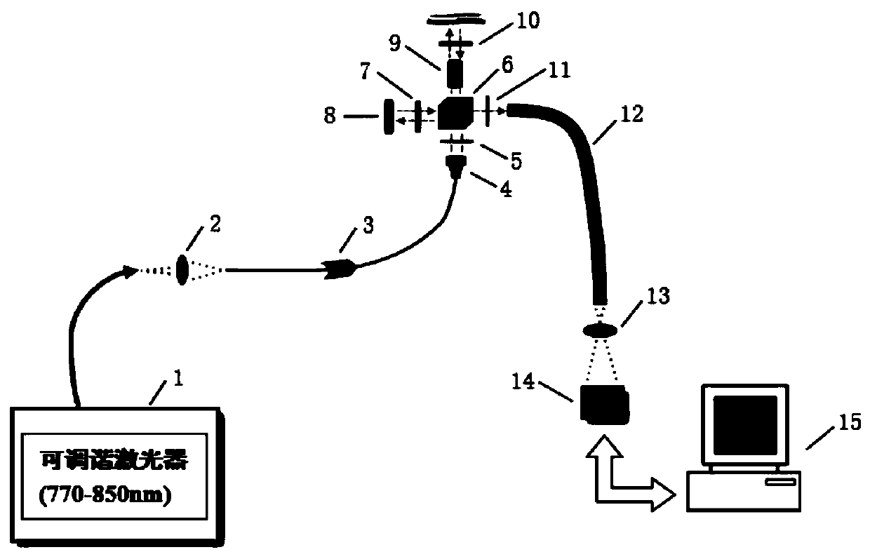 Device and method for digital holographic flexibility measurement based on optical fiber bundle