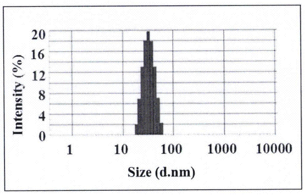 Preparation method and use of nanometer targeting preparation of micro-molecular immune drug