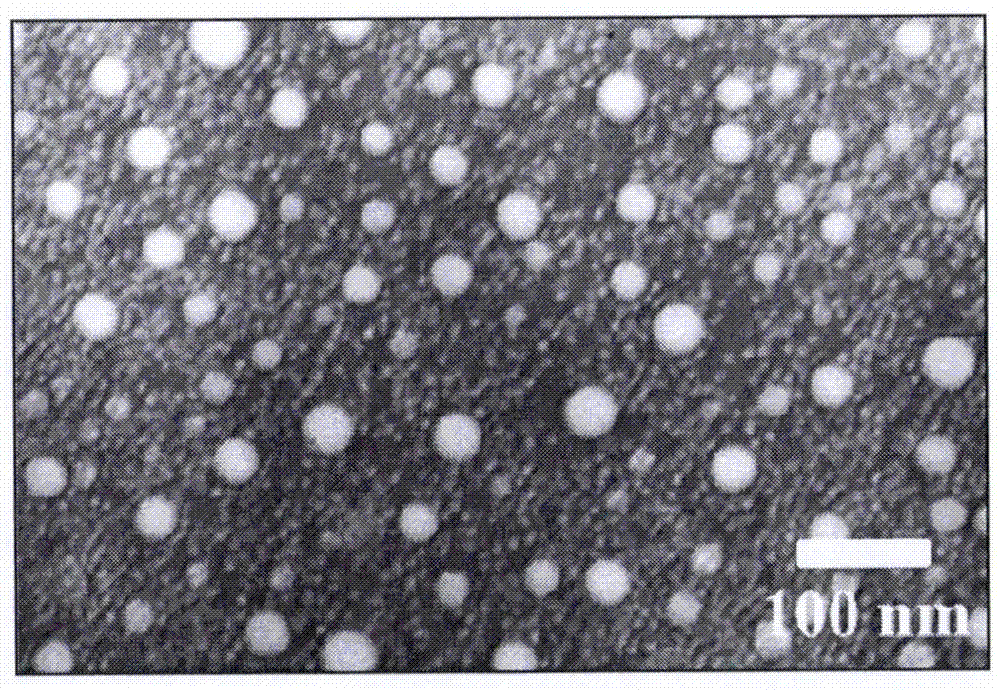 Preparation method and use of nanometer targeting preparation of micro-molecular immune drug