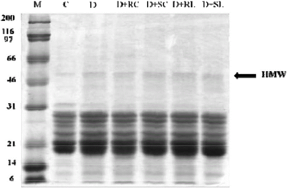 Effect of lipophilic nutrients on diabetic eye diseases