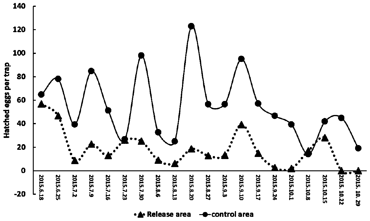 Preparation method and application of Aedes albopictus carrying culex wolbachia