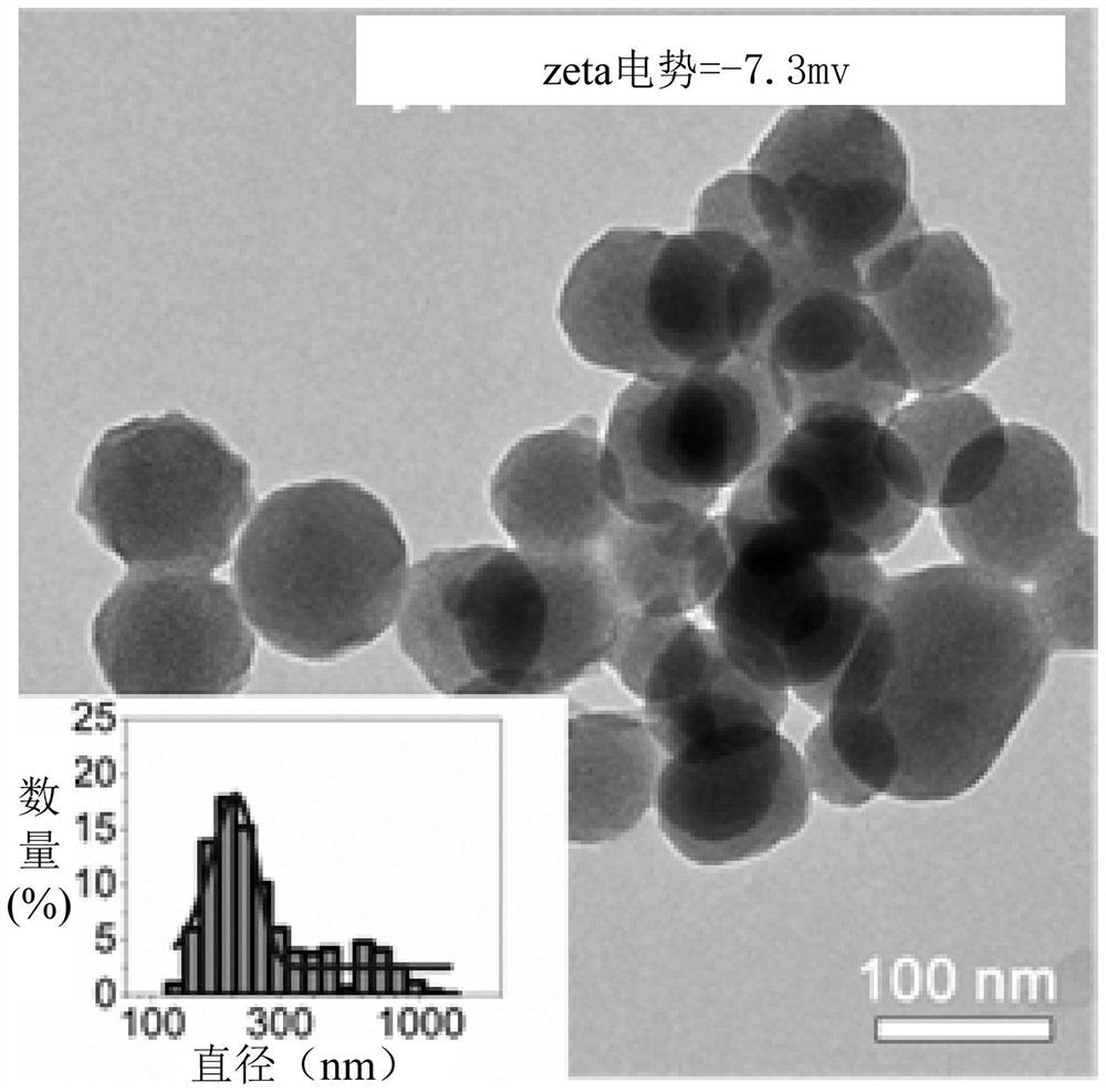 Sustained-release drug, its preparation method and application