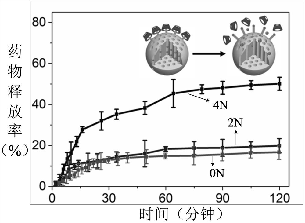 Sustained-release drug, its preparation method and application