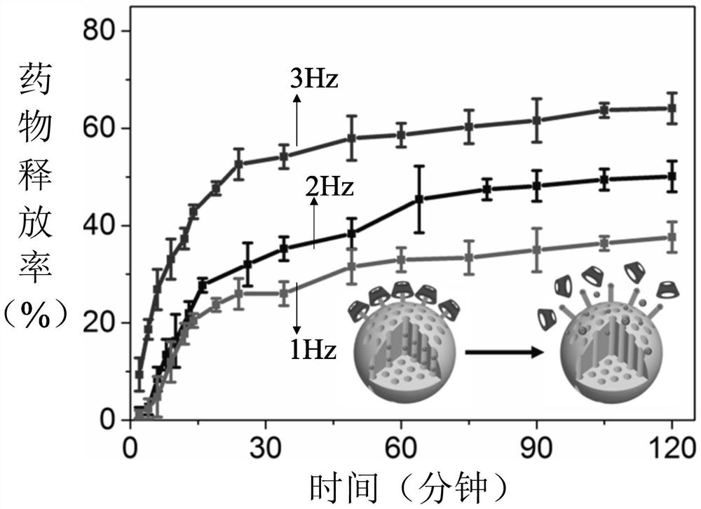 Sustained-release drug, its preparation method and application