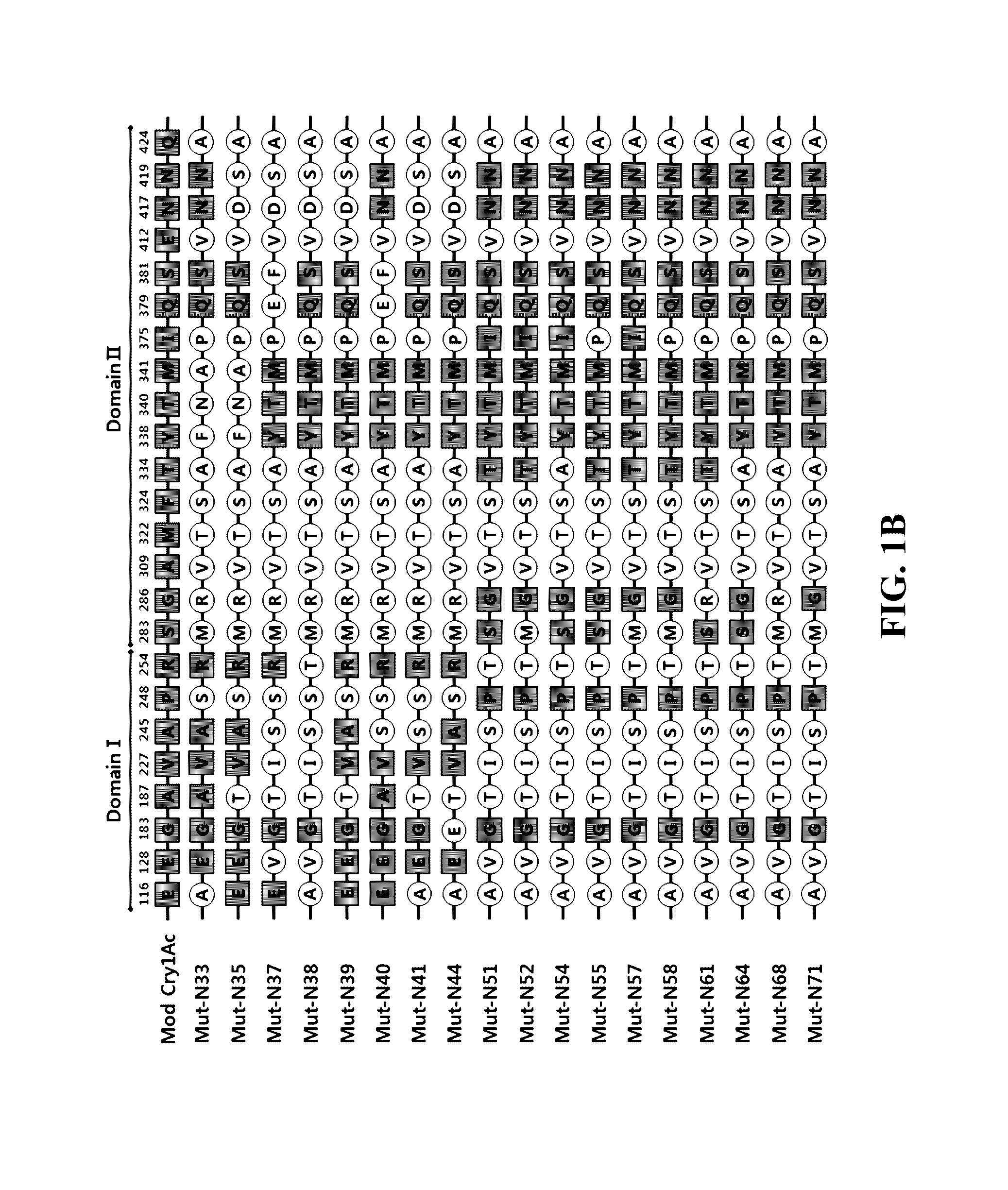 Mutant <i>Bacillus thuringiensis </i>proteins and genes encoding the same with improved insecticidal activity and use thereof