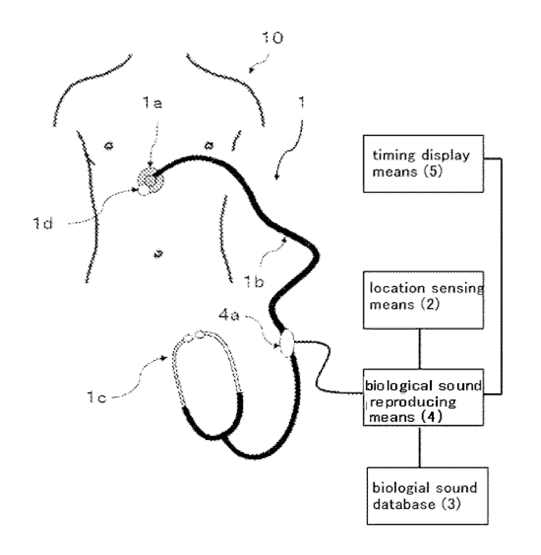 Stethoscopy training system and simulated stethoscope