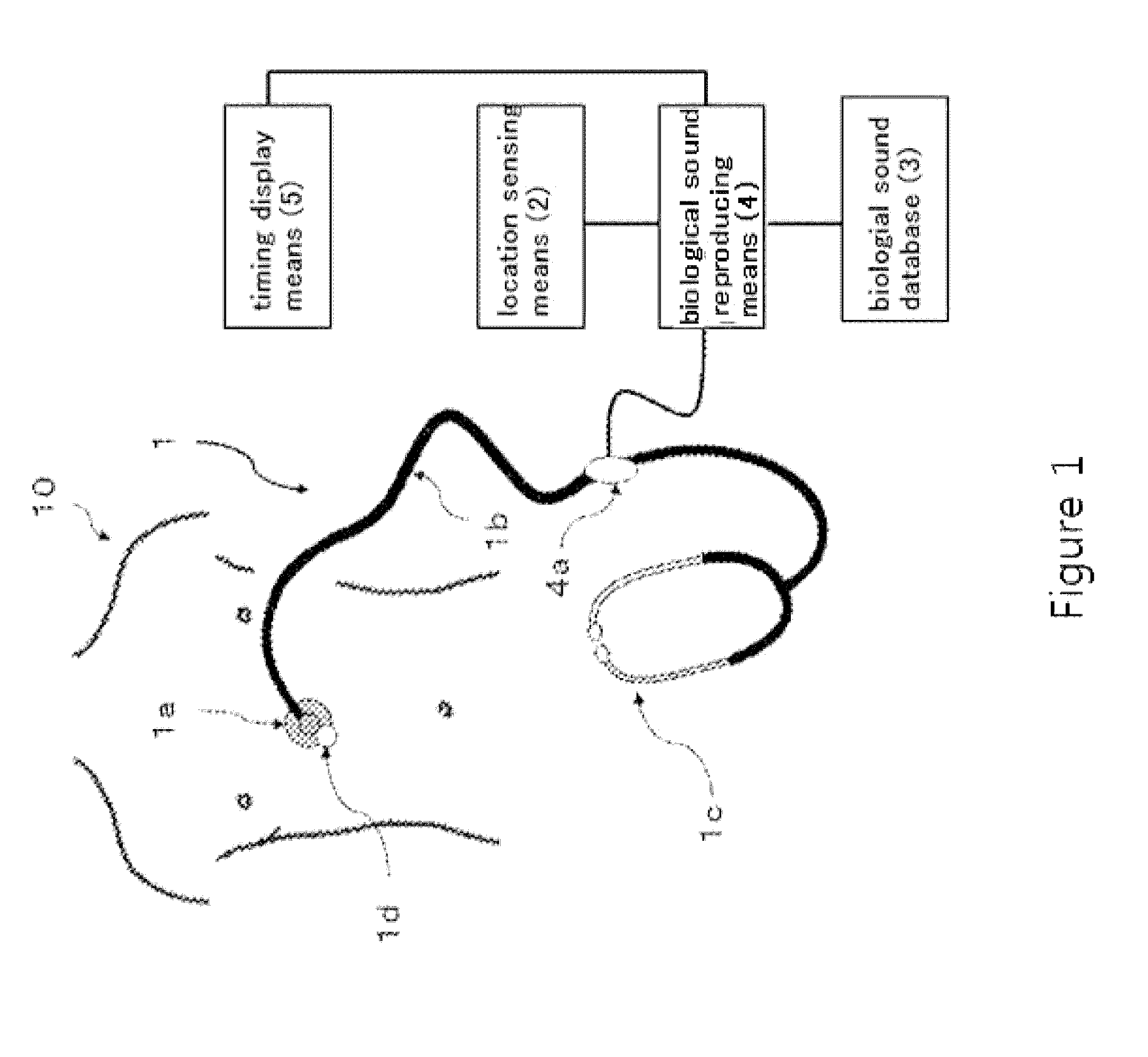 Stethoscopy training system and simulated stethoscope