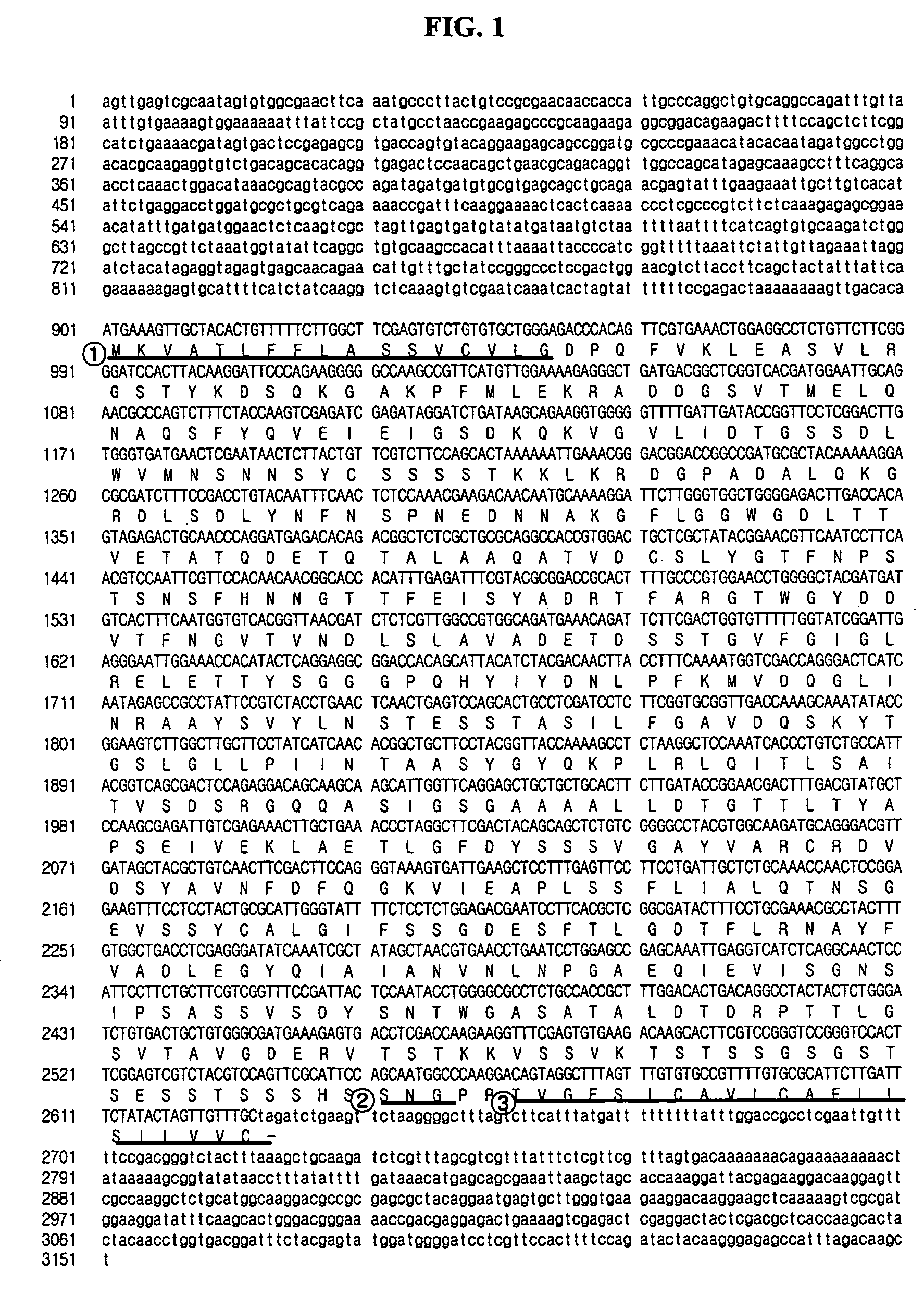 <i>Hansenula polymorpha </i>yapsin deficient mutant strain and process for the preparation of recombinant proteins using the same