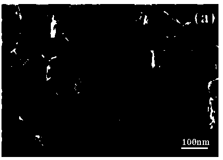 Composite nano material and preparation method thereof